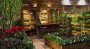 PALLET GARDEN