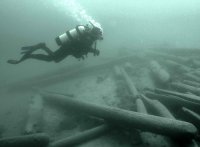 Diving for logs