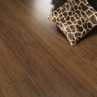 Bamboo floors