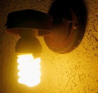 Compact fluorescent bulb