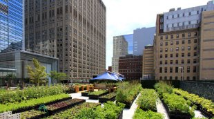 Urban agriculture