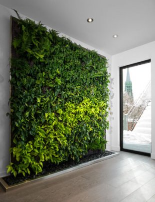 living_green_wall_vertical_garden_envirozone_2.jpg