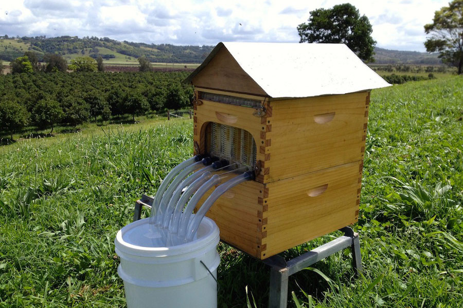 Flow Frames Honey on Tap. Easier on the bees, easier on the beekeeper. News Ecohome
