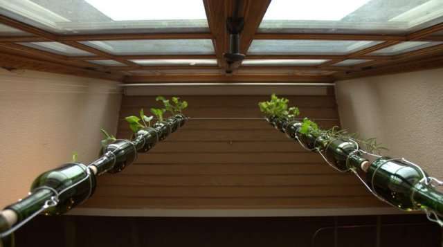 vertical window garden
