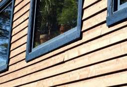 Exterior Siding