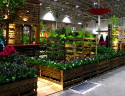 Pallate garden