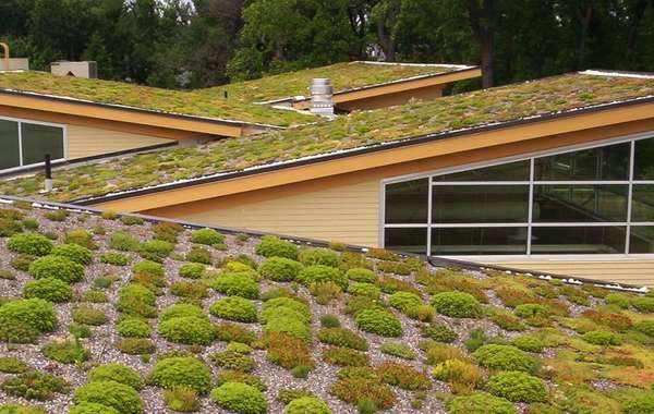 Commercial Living green roof on the Helen Schuler Nature centre