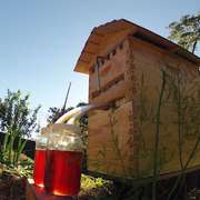 Flow Frames: A father and son revolutionize honey production