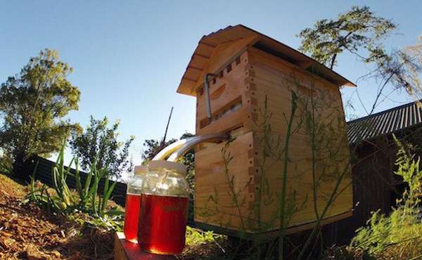 Flow Frames: A father and son revolutionize honey production