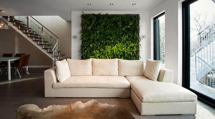 Do Living Green Walls Improve Interior Air Quality in Homes?