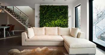 Living green wall