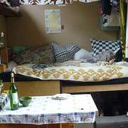 Jenine Alexander's homemade mobile tiny house