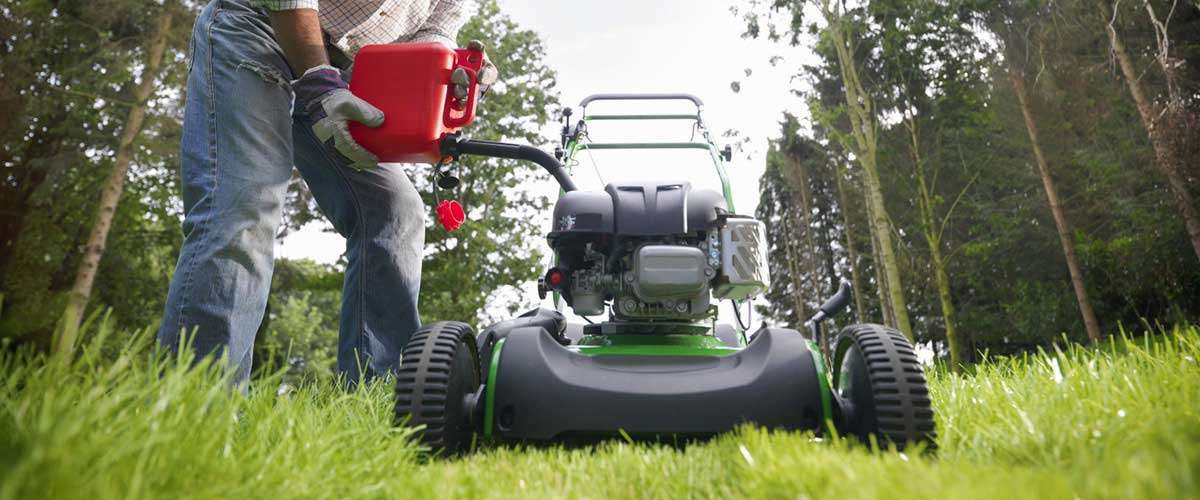 “The perfect lawn” comes with a very heavy environmental cost!