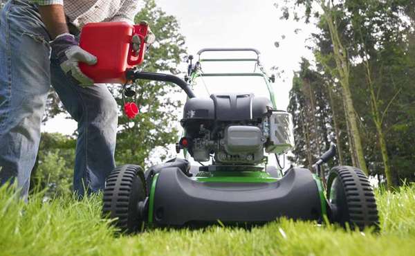 “The perfect lawn” comes with a very heavy environmental cost!