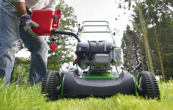 “The perfect lawn” comes with a very heavy environmental cost!