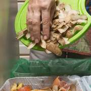 Disposing of household waste properly - recycling, garbage & toxic materials