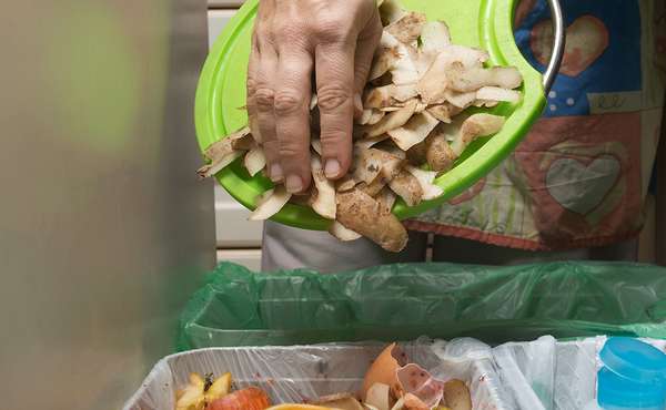 Disposing of household waste properly - recycling, garbage & toxic materials