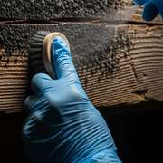 A close-up shot of cleaning black mold spores on a wooden beam in a basement