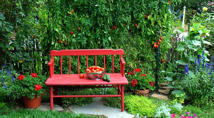 Urban farming