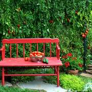 Urban farming