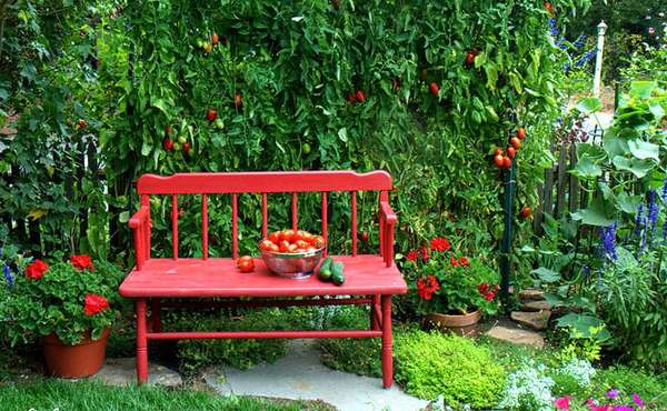 Urban farming