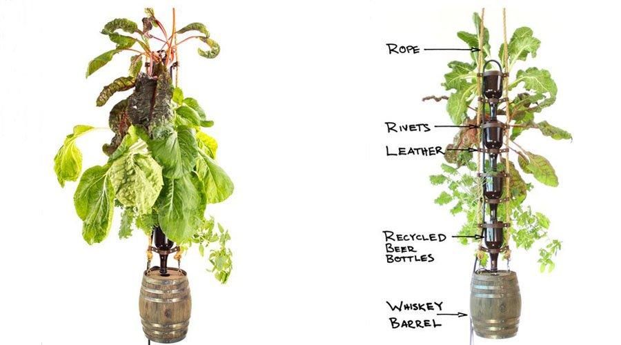 The Elegant Farm hydroponic bottle garden