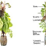 The Elegant Farm hydroponic bottle garden