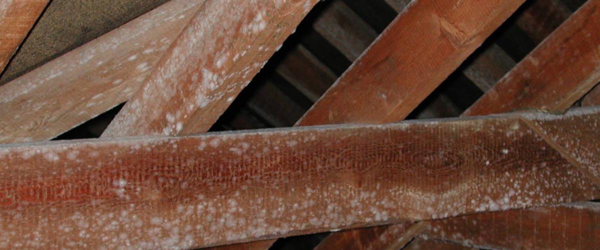 Qu’est-ce que la condensation interstitielle ? Et pourquoi faut-il l’éviter ?