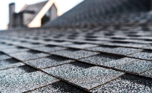 A close-up macro shot of the ceramic granules on a new asphalt roof shingle.