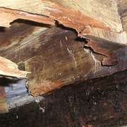 Dry Rot in Homes - The Identification, Treatment, Prevention & Repair of Dry Rot
