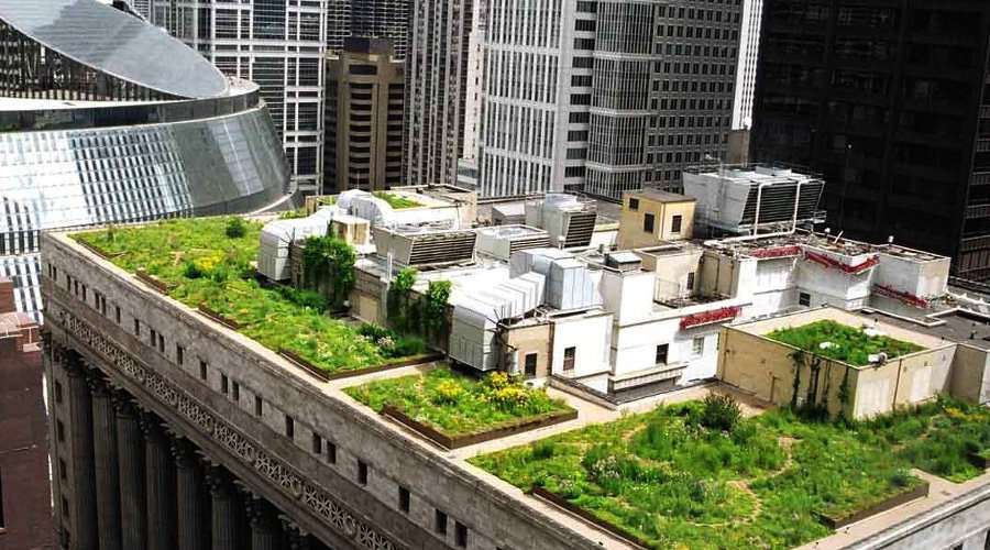 Chicago green roof