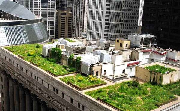 Chicago green roof