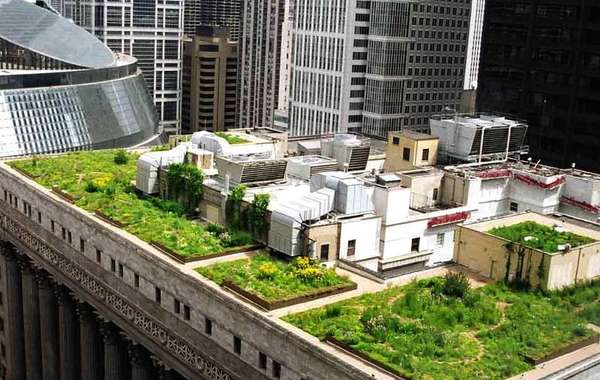 Chicago green roof