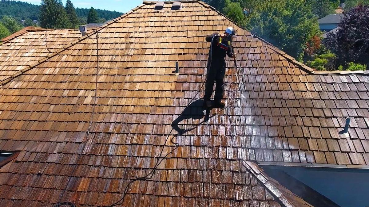 Roofing Professional Inspection