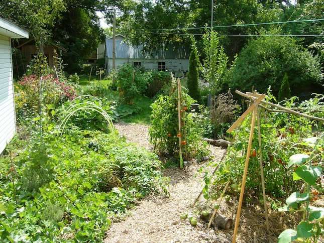 Ecological Design and Gardening: Intro to Permaculture