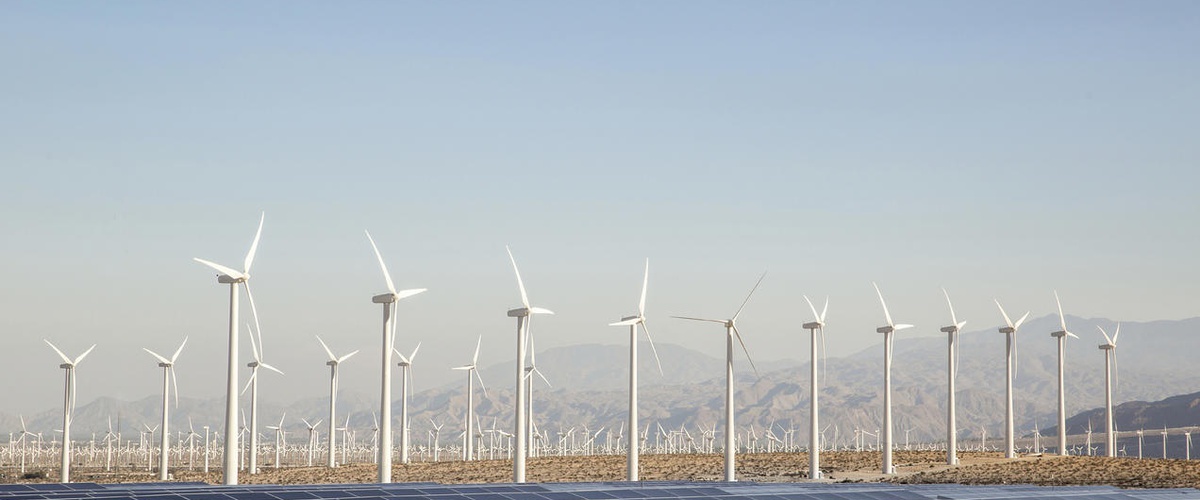 Renewable energy wind farm