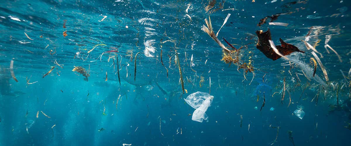 Why Recycling Plastics Needs Legislation to be Effective