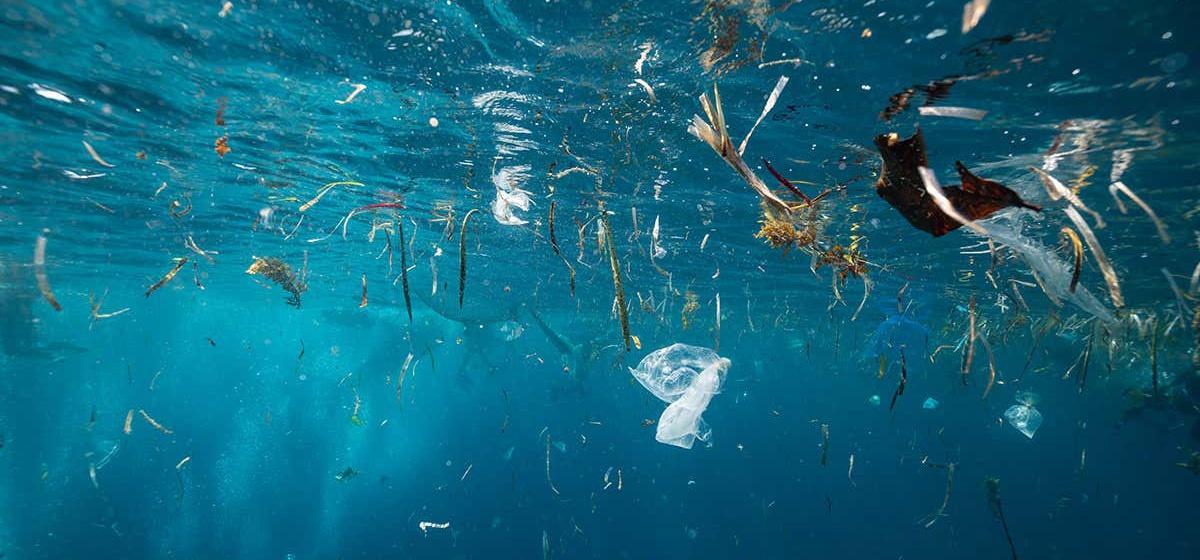 Why Recycling Plastics Needs Legislation to be Effective