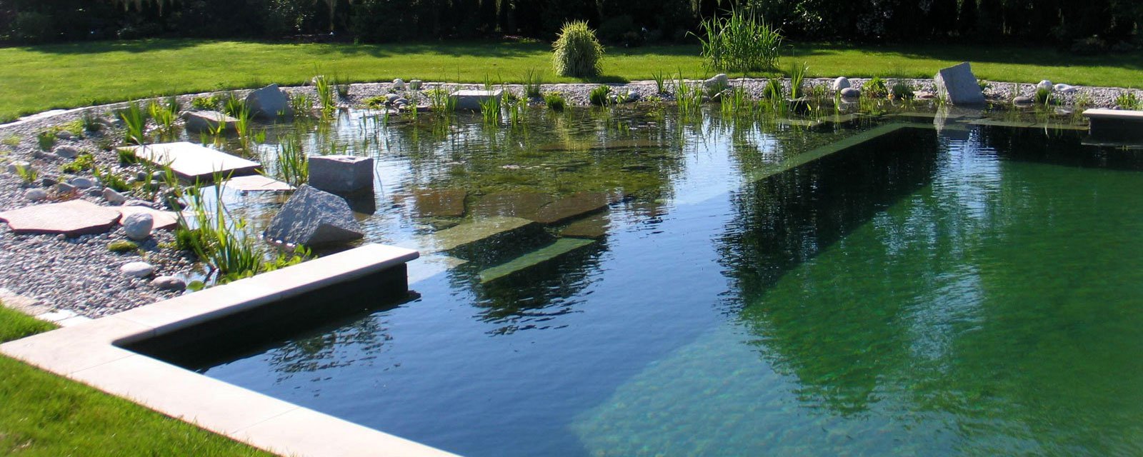 Natural Swimming Pools Diy Or Pro Building Tips Ecohome