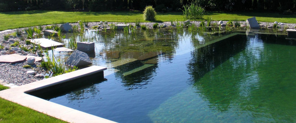 All About Natural Swimming Pools Ecohome