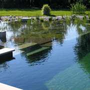 Natural swimming pool design DIY (NSP) for eco homes
