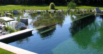 Natural swimming pool design DIY (NSP) for eco homes