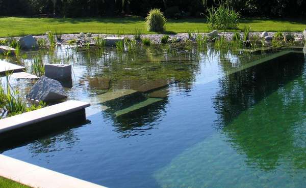 Natural swimming pool design DIY (NSP) for eco homes