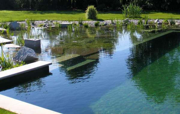 Natural swimming pool design DIY (NSP) for eco homes