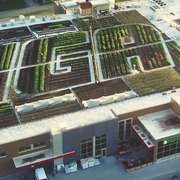 A lush, vegetated green roof on an urban grocery store Image © The Green Line: G