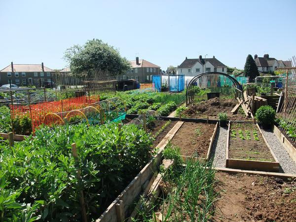 Permaculture workshop