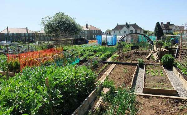 Permaculture workshop