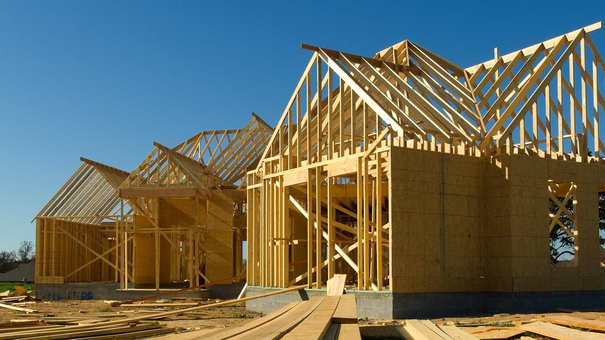 OSB ou contreplaqué : comment choisir ?