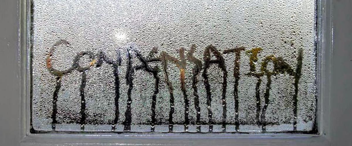 Is Condensation on Windows Bad, Causes & How to Stop It Ecohome