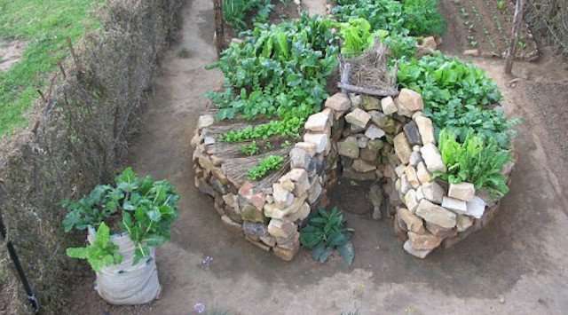Keyhole Gardens Growing Drought, Keyhole Garden Design
